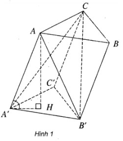 Giải SBT Toán 12: Đề toán tổng hợp ôn tập cuối năm