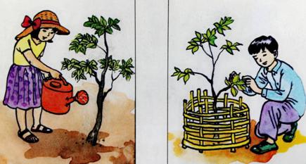 Lý thuyết Tiếng Việt 2 bài 117