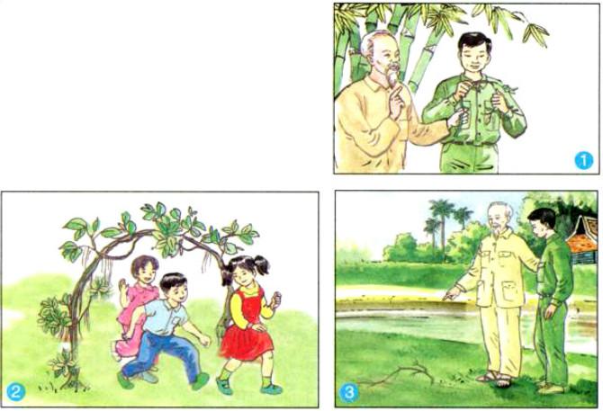 Tập đọc: Chiếc rễ đa tròn