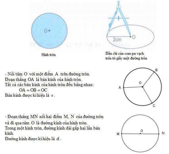 Hình tròn. Đường tròn. Chu vi hình tròn