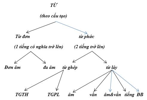 Ôn tập về cấu tạo từ, ôn tập về câu