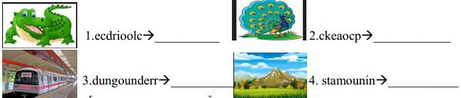 Đề thi học kì 1 môn tiếng Anh lớp 5 trường Tiểu học Nơ Trang Lơng, Đắk Lắk năm học 2018 - 2019