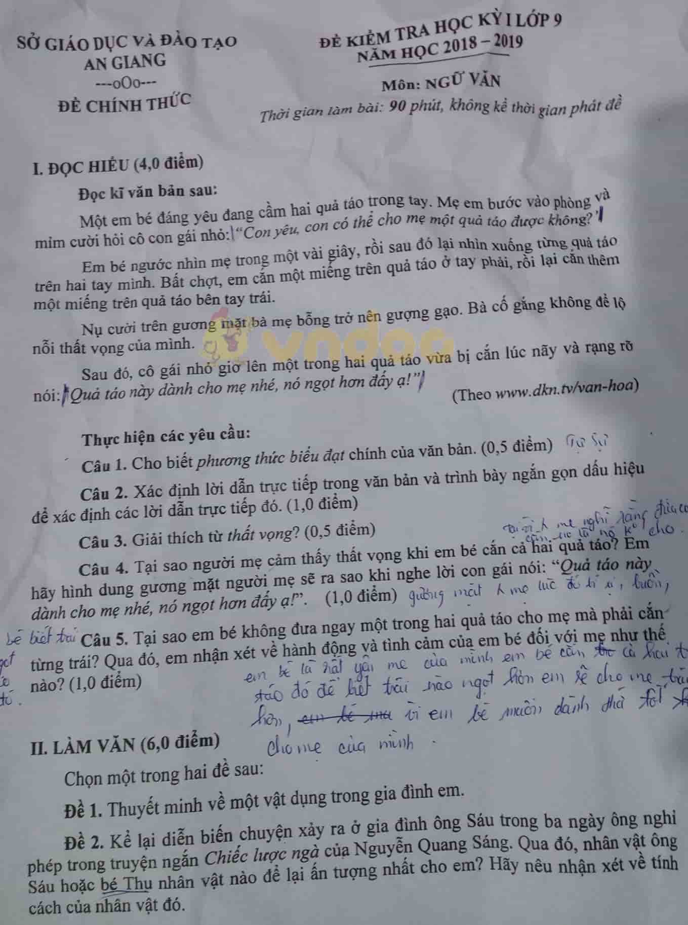 Đề thi học kì 1 lớp 9 môn Ngữ văn Sở GD&ĐT An Giang năm học 2018 - 2019