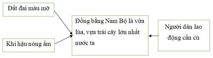 Giải Vở bài tập Địa lí lớp 4 bài 19