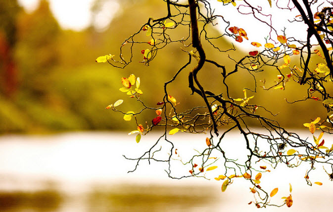 Đây mùa thu tới