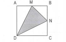 Bài tập diện tích hình tam giác