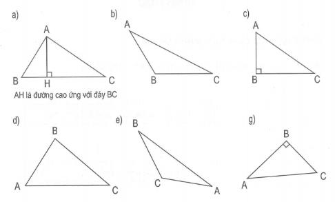 Bài tập Toán lớp 5: Hình tam giác