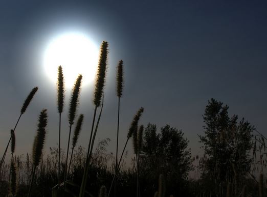 Suy nghĩ triết lí sống trong bài Ánh trăng