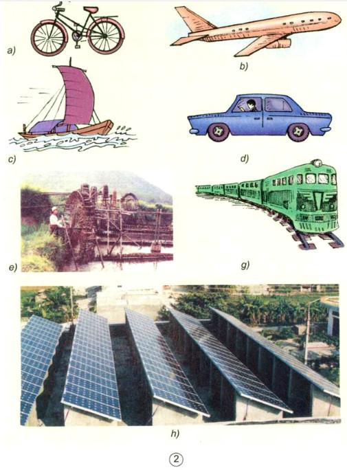 Giải Vở bài tập Khoa học lớp 5 bài 49, 50