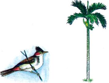 Lý thuyết Tiếng Việt 1: Tập đọc: Tặng cháu