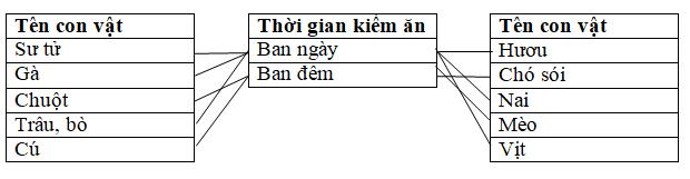 Giải Vở bài tập Khoa học lớp 4 bài 48