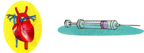 Chính tả: Quà của bố