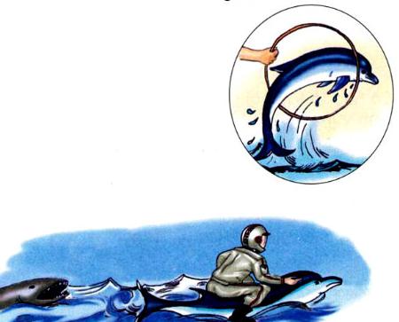 Tập đọc: Anh hùng biển cả