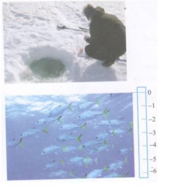 Giải bài tập tài liệu dạy học Toán lớp 7 bài 1: Tập hợp Q các số hữu tỉ