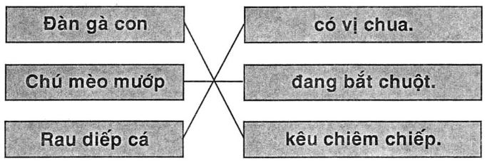 Giải vở bài tập Tiếng Việt 1 bài 89: iêp ươp