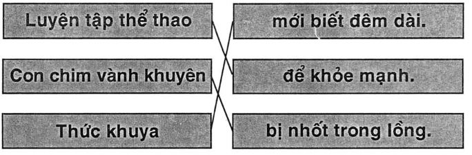Giải vở bài tập Tiếng Việt 1 bài 103: Ôn tập