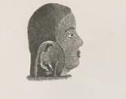 Đề thi thử môn Ngữ văn năm 2019