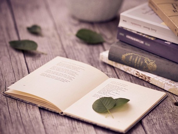 Giải thích ý nghĩa câu "Văn học có ý nghĩa rất lớn, nó là gia sư của xã hội"