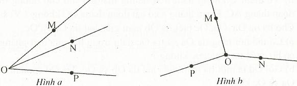 Bài tập cuối tuần Hình học lớp 6