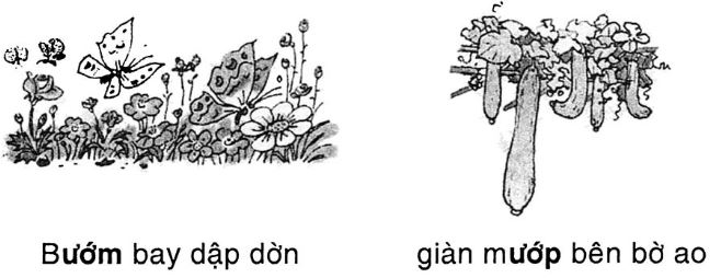 Chính tả: Hồ gươm