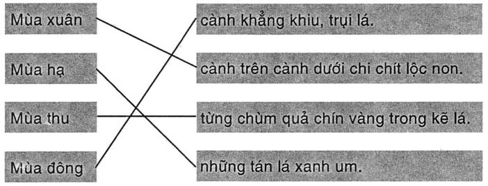 Tập đọc: Cây bàng