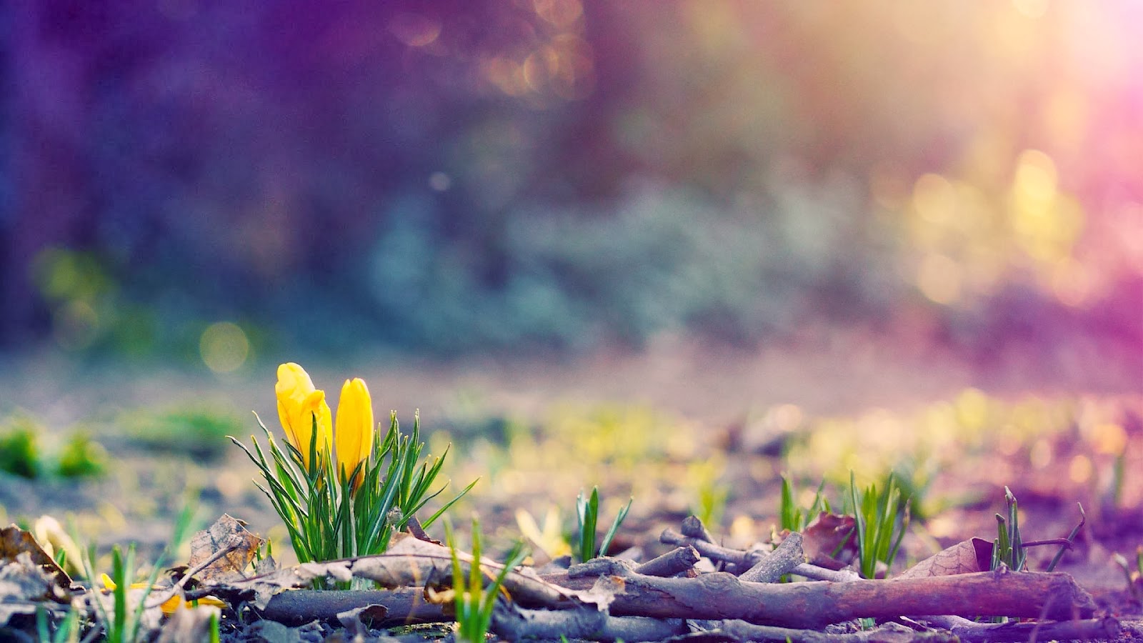 Phân tích bài thơ Vội vàng đoạn 1