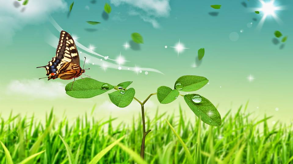 Phân tích bài thơ Vội vàng đoạn 3