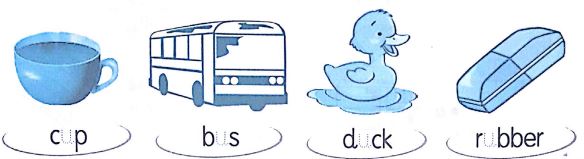 Phiếu bài tập cuối tuần môn Tiếng Anh lớp 2 - Tuần 23