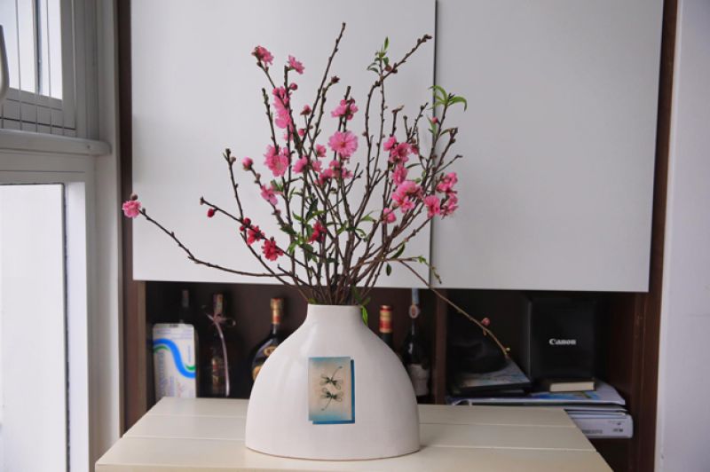 Hoa đào ngày tết