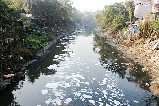 Dòng sông bị ô nhiễm