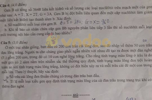 Đề thi chọn học sinh giỏi lớp 9 môn Sinh học Sở GD&ĐT Hà Tĩnh năm học 2018 - 2019