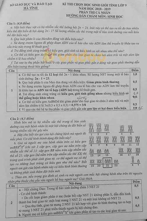 Đáp án đề thi chọn học sinh giỏi lớp 9 môn Toán Sở GD&ĐT Hà Tĩnh năm 2018 - 2019