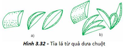 Thực hành - Tỉa hoa trang trí món ăn từ một số loại rau, củ, quả