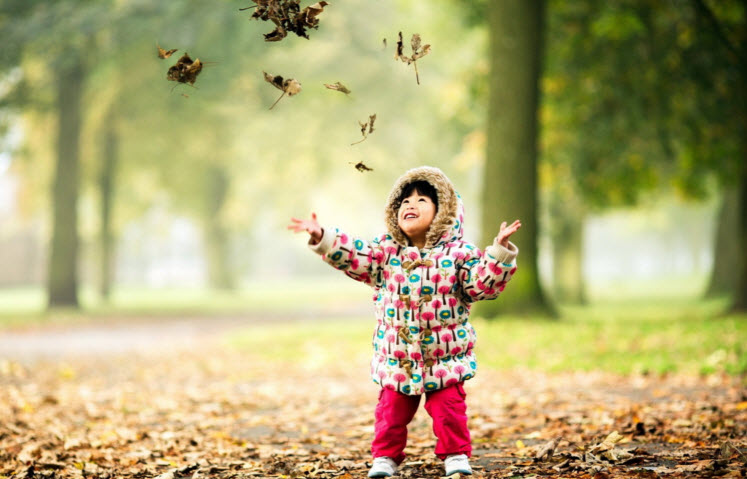 Nghị luận câu ở hiền gặp lành