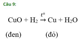 Trắc nghiệm Hóa 8