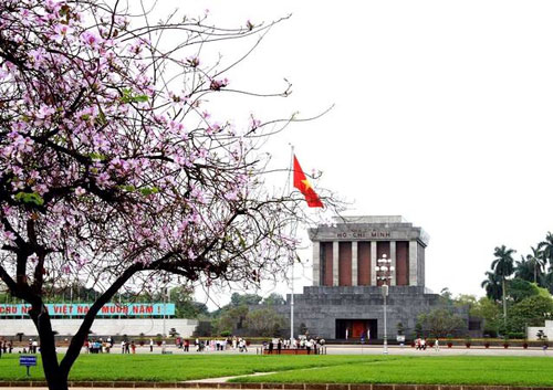 Nghị luận tình cảm chân thành của nhân dân ta với Bác qua bài Viếng lăng Bác của Viễn Phương