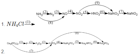 Giải bài tập Hóa học 11 SBT bài 13