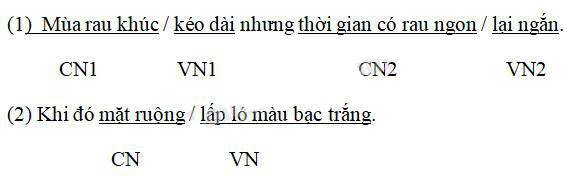 Giải Cùng em học Tiếng Việt lớp 5