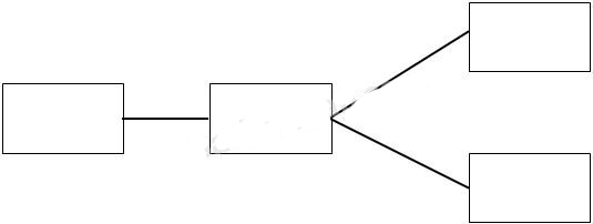 Giải Vở bài tập Địa lý lớp 5 bài 24