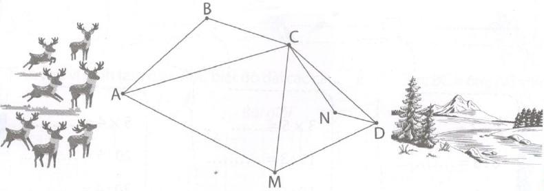 Giải Cùng em học Toán lớp 2 Tuần 34 - Tiết 2