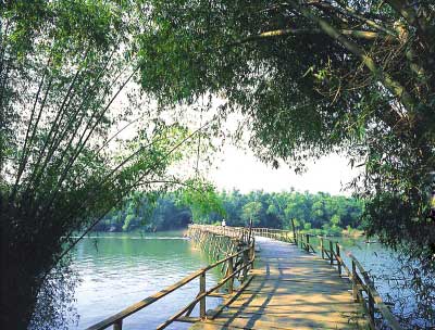 Viết đoạn kết bài mở rộng Tả cây tre ở làng quê