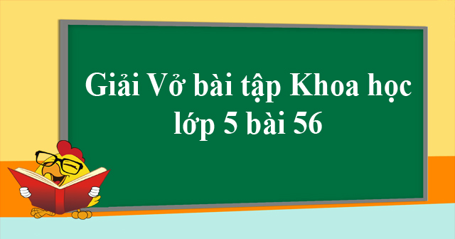 Giải Vở Bài Tập Khoa Học 5 Bài 56: Sự Sinh Sản Của Côn Trùng - Giải Sách Bài  Tập Khoa Học Lớp 5 Tập 2 - Vndoc.Com