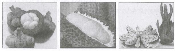 Bài tập nâng cao Tiếng Việt 2 - Tuần 28: Tập làm văn