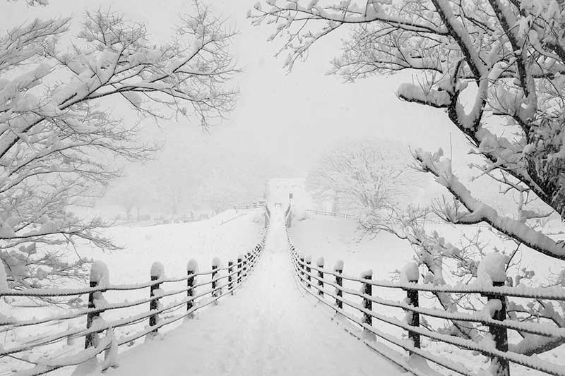 Biểu cảm về mùa đông