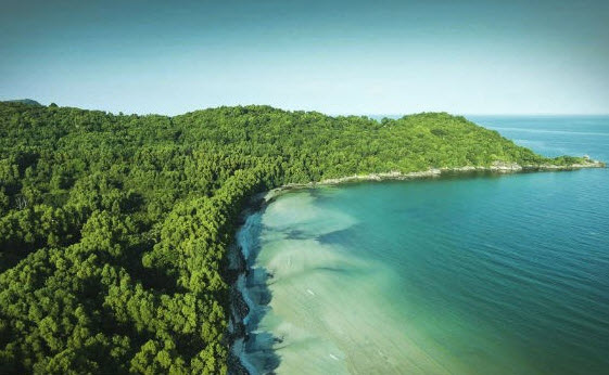 Hãy chứng minh tính đúng đắn của câu thành ngữ "Rừng vàng biển bạc"