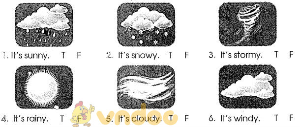 Bài tập cuối tuần môn Tiếng Anh lớp 3 - Tuần 32