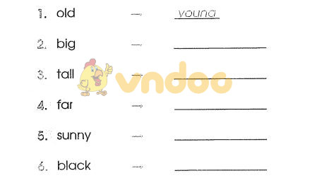 Bài tập tiếng Anh lớp 3 unit 20: Where's Sa Pa?