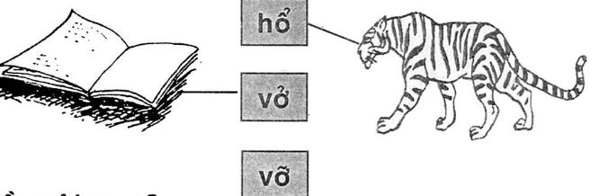 Giải vở bài tập Tiếng Việt 1 bài 10 Ô ơ