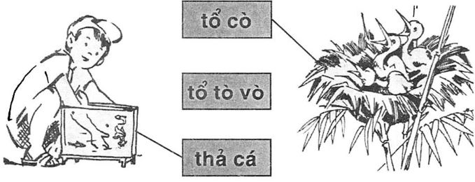 Giải vở bài tập Tiếng Việt 1 bài 15: t th