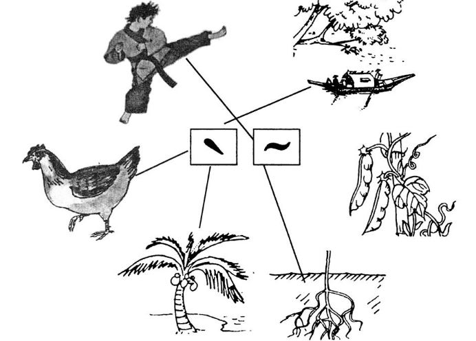 Giải vở bài tập Tiếng Việt 1 bài 5 tập 1